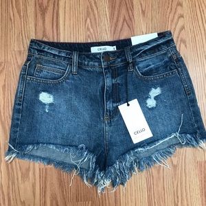 NWT Cello Distressed Jean Shorts